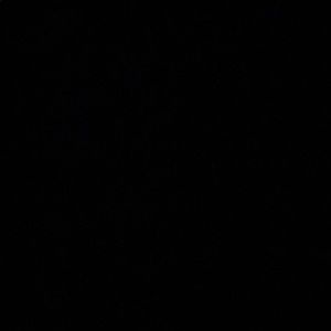 Meet your Posher, Irma